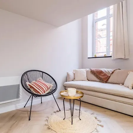 Cocon Renove A Deux Pas Du Capitole-4 Couchages