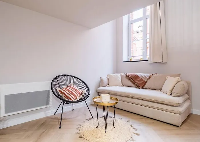 Cocon Renove A Deux Pas Du Capitole-4 Couchages